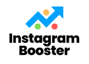 Bolor AI – IG Booster